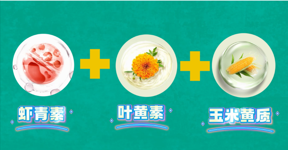 艾诗特3499拉斯维加斯