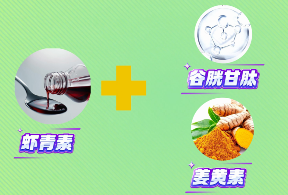 艾诗特3499拉斯维加斯