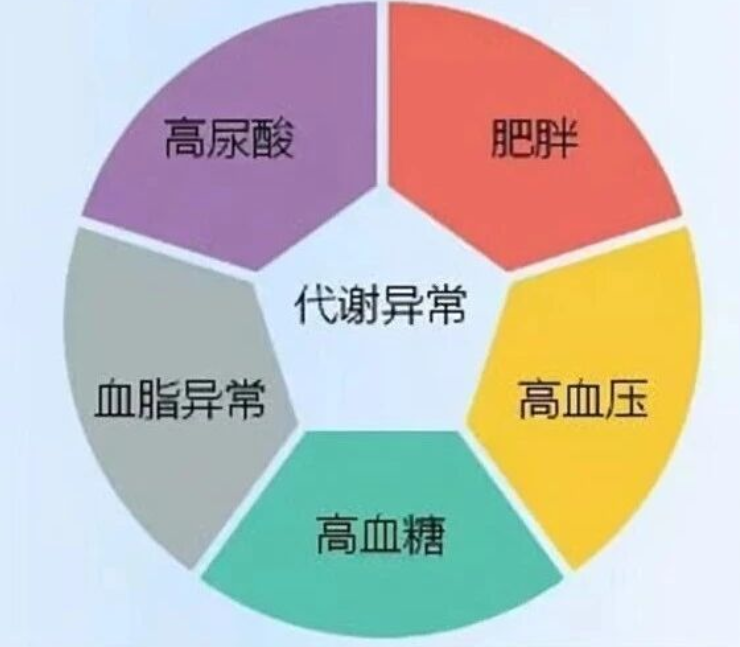 艾诗特3499拉斯维加斯