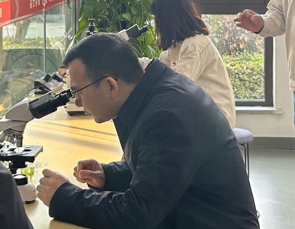 艾诗特3499拉斯维加斯 艾诗特3499拉斯维加斯
