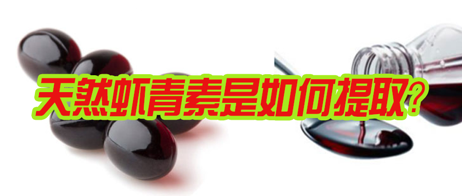 艾诗特3499拉斯维加斯 艾诗特3499拉斯维加斯