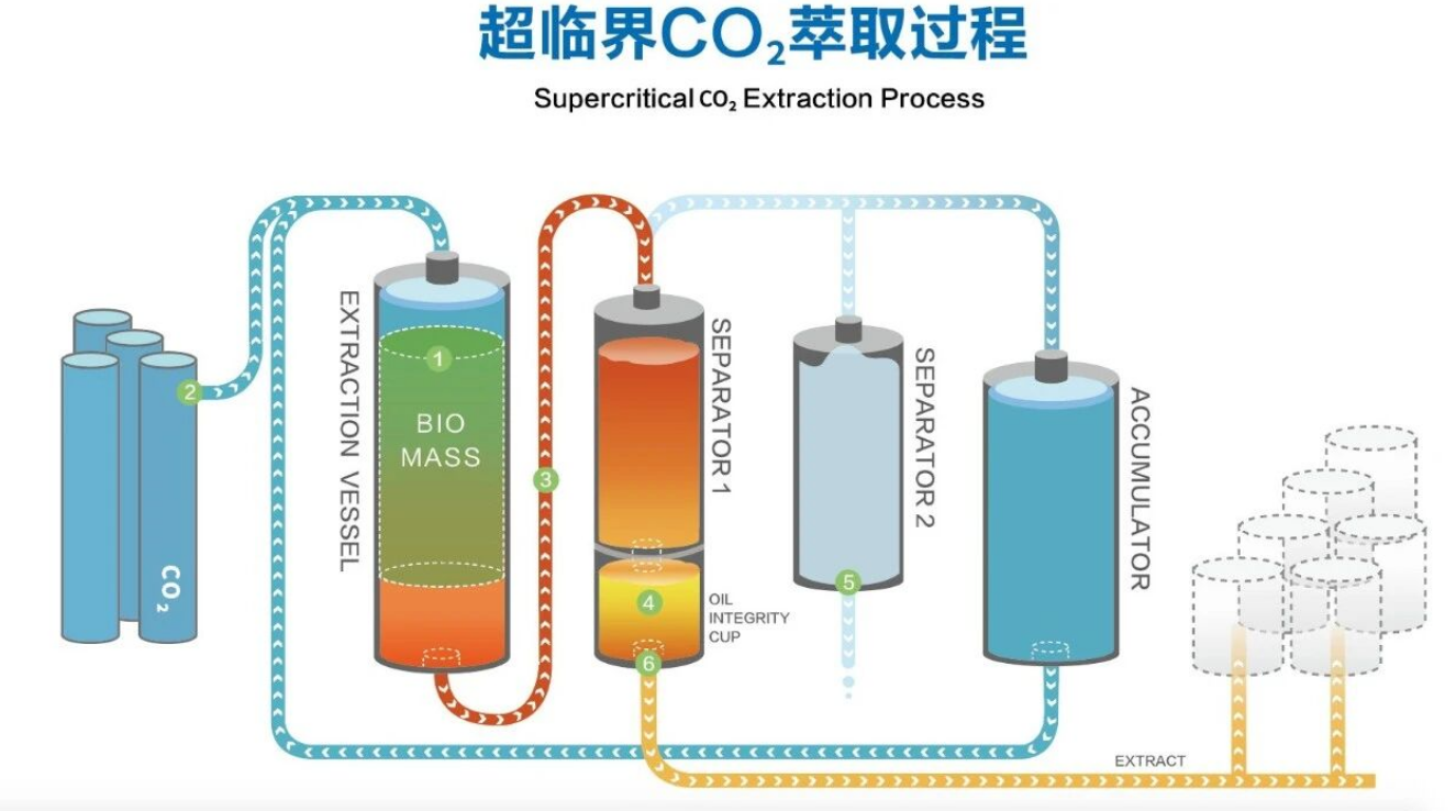 艾诗特3499拉斯维加斯 艾诗特3499拉斯维加斯