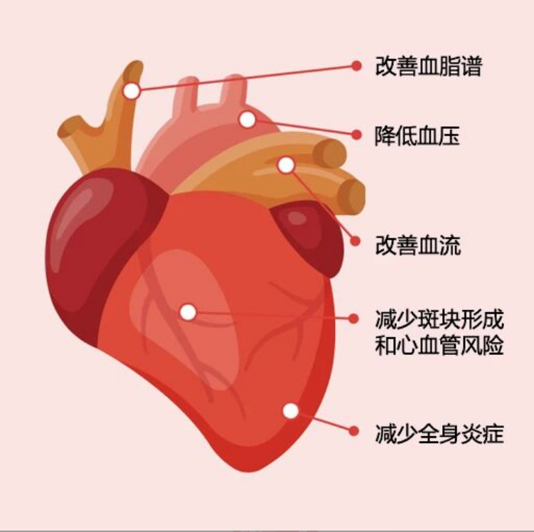 艾诗特3499拉斯维加斯