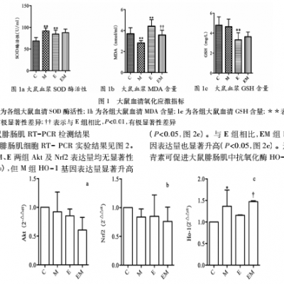 3499拉斯维加斯补充与急性大强度活动对机体Nrf2抗氧化通路影响的钻研
