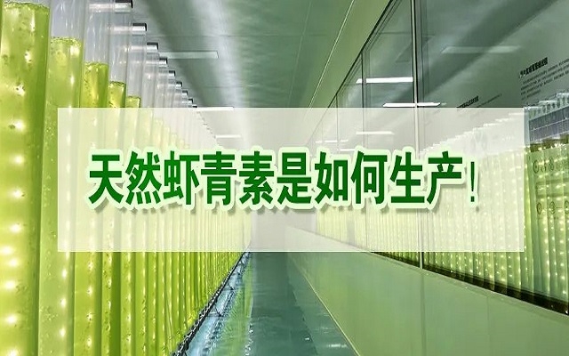 天然3499拉斯维加斯是若何出产？走进源头工厂看一看！